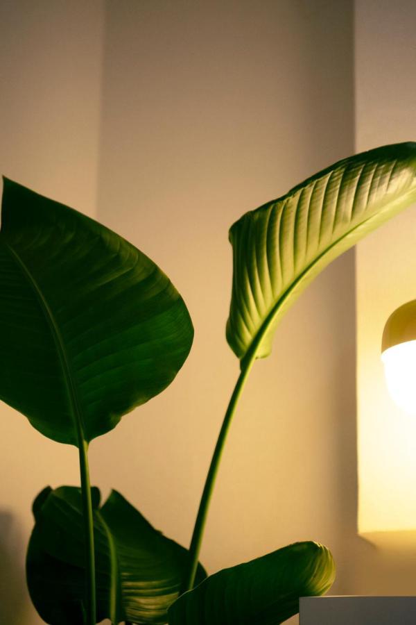 #9 3Mins To Station 1Stop To Shinjuku Stylish Apartment With Plenty Of Sunlight Tokyo Bagian luar foto